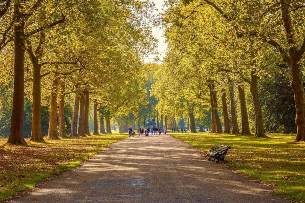 Апартаменты Stylish & Comfy Chelsea Haven Walk To Tube & Bus Лондон